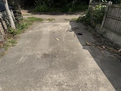 Picture 7